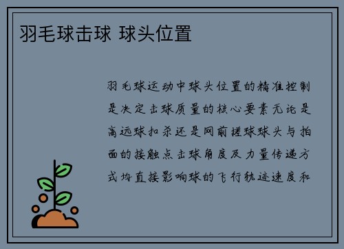 羽毛球击球 球头位置